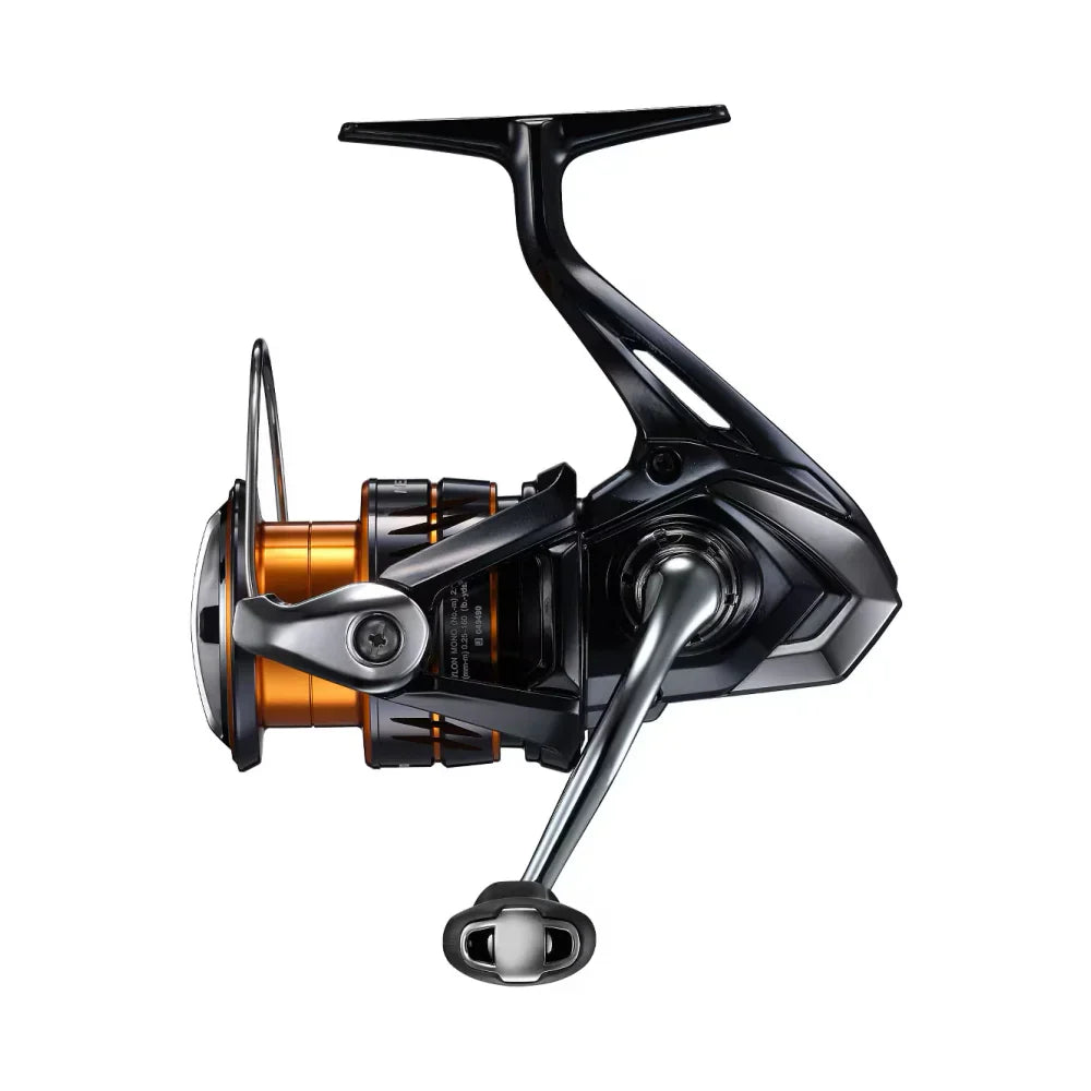 REELS