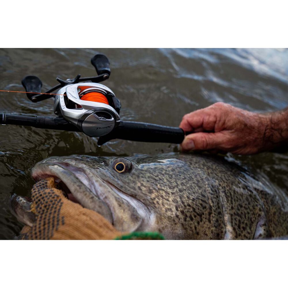 Shimano Tranx 300B Baitcaster Reel